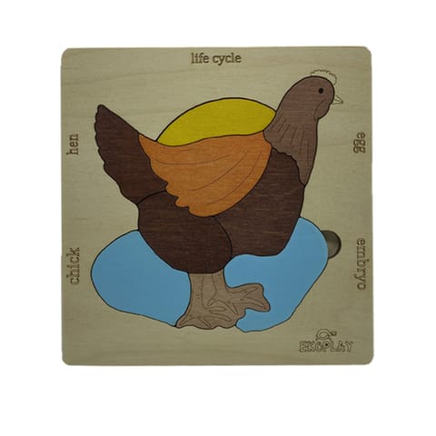 Ekoplay - Life Cycle of a Chicken Puzzle Game