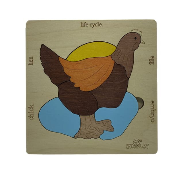 Ekoplay - Life Cycle of a Chicken Puzzle Game