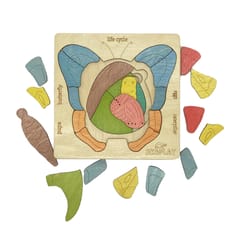 Ekoplay - Life Cycle of a Butterfly Puzzle Game