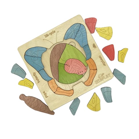 Ekoplay - Life Cycle of a Butterfly Puzzle Game
