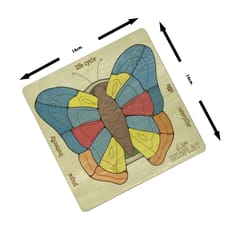 Ekoplay - Life Cycle of a Butterfly Puzzle Game