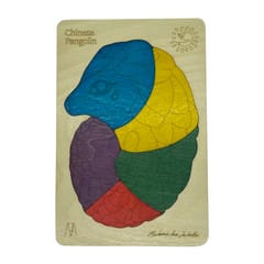 Ekoplay - Chinese  Pangolin Puzzle Game