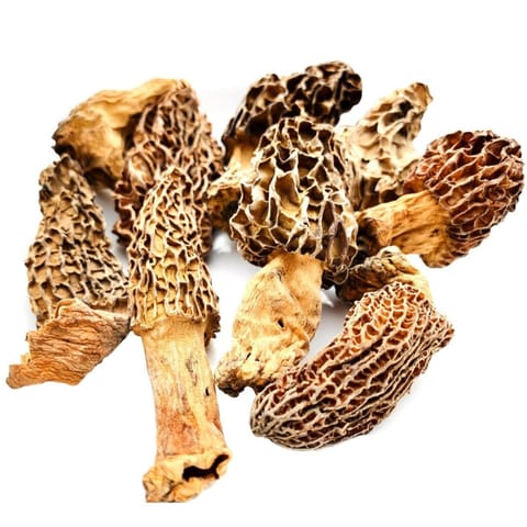 Kanz & Muhul - Morels (Gucchi) Dried Mushrooms form the Himalayas