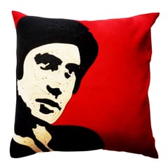 Juhi Malhotra-Big B Cushion Cover
