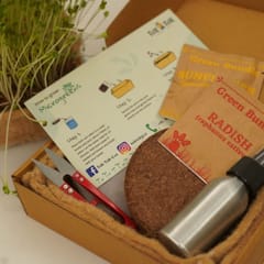 Clan Earth-Sustainable  Diwali Gift Hamper with Microgreens Kit