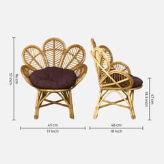 MaNaIYa - Meadowbrook Rattan Chair