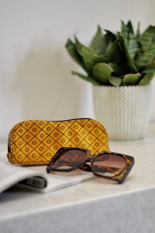 Draupadi - Sunny Day Eyewear Case