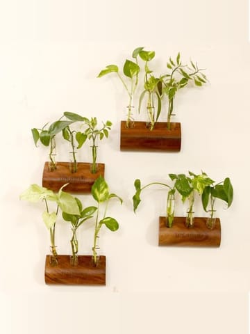 https://cdn.shopify.com/s/files/1/0089/7672/8119/products/timber-grove-trio-wall-mounted-wooden-glass-tube-planter-lazygardener-262703.jpg?v=1682274556