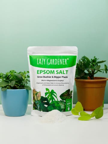 https://cdn.shopify.com/s/files/1/0089/7672/8119/products/epsom-salt-magnesium-sulphate-fertilizer-for-plants-epsom-salt-lazygardener-674044.jpg?v=1689791572