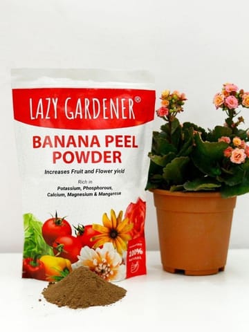 https://cdn.shopify.com/s/files/1/0089/7672/8119/products/organic-banana-peel-powder-fertilizer-banana-peel-powder-lazygardener-748242.jpg?v=1689792034