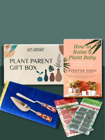 https://cdn.shopify.com/s/files/1/0089/7672/8119/products/plant-parent-gift-box-gardening-gift-set-lazygardener-633412.jpg?v=1665150070