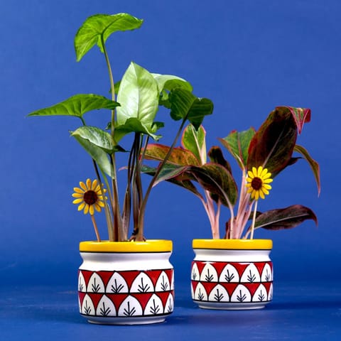 Lazy Gardener -Aura -Rangoli Ceramic pot (Without plant)  - Set of 2