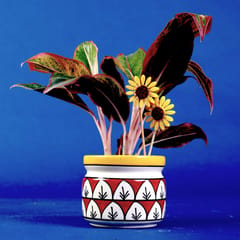 Lazy Gardener -Aura -Rangoli Ceramic pot (Without plant)  - Set of 2