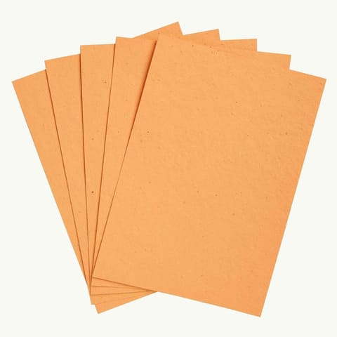 Plantables-Orange Mixed Wildflowers Seed Paper Sheets