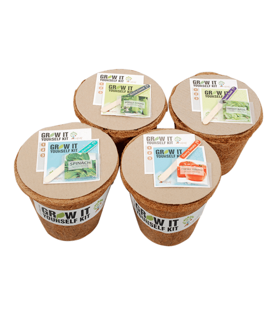 UPAJ - VEGETABLE GARDEN (LARGE GIY KITS - PACK OF 4)