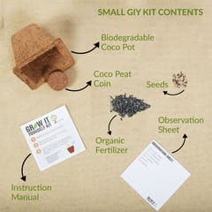 UPAJ - VEGETABLE GARDEN (SMALL GIY KITS - PACK OF 4)