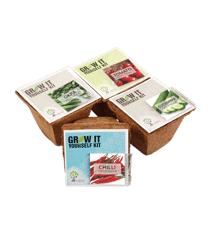UPAJ - VEGETABLE GARDEN (SMALL GIY KITS - PACK OF 4)