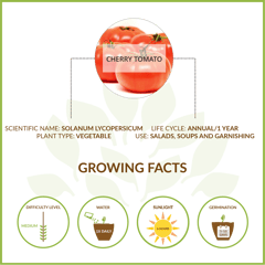 UPAJ - CHERRY TOMATO LARGE GIY KIT