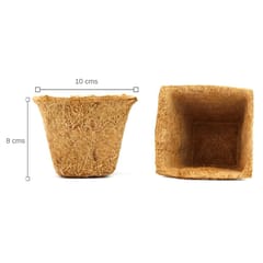 UPAJ - CHILLI SMALL GIY KIT