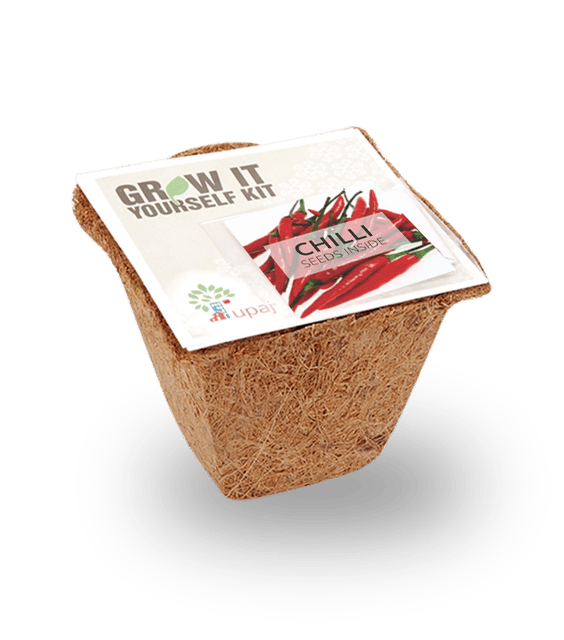 UPAJ - CHILLI SMALL GIY KIT