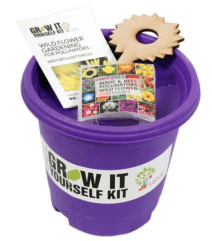 UPAJ - BIRDS & BEES POLLINATORS GIY KIT