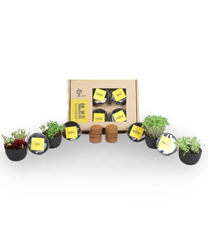 UPAJ - MICROGREENS GIY KIT