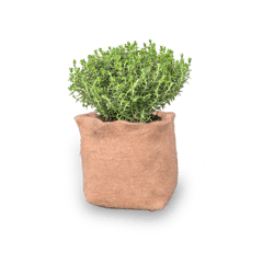 UPAJ - JUTE GROW BAG HERB GARDEN