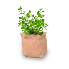 UPAJ - JUTE GROW BAG HERB GARDEN