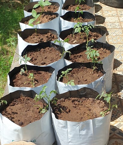 UPAJ - Grow Bag Gardening GIY Kit