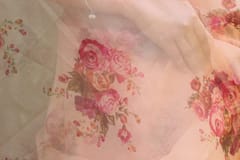 Dira By Dimple - Regal Florals (Floral Printed Organza Saree)