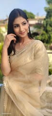 Dira By Dimple - Lustrous Royalty (Organza Saree with Lave border)