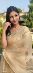 Dira By Dimple - Lustrous Royalty (Organza Saree with Lave border)