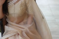 Dira By Dimple - Lustrous Royalty (Organza Saree with Lave border)