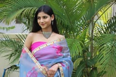 Dira By Dimple - Whimsical Wonder (Printed Organza Saree)