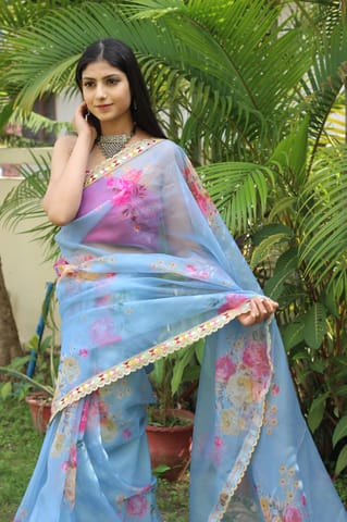 Dira By Dimple - Whimsical Wonder (Printed Organza Saree)