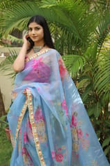 Dira By Dimple - Whimsical Wonder (Printed Organza Saree)