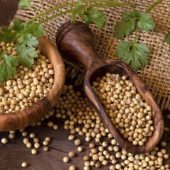 The Mmasala Box -Dhaniya / Corriander (Whole) - 100 GMs (Set of 2)