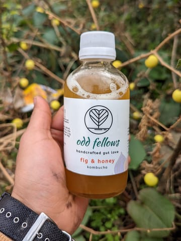 Odd Fellows - Fig & Honey Kombucha 200ml