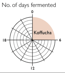 Odd Fellows - Koffucha Coffee Brew