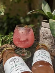 Odd Fellwows - Mulberry Sangria Kefir - Healthy Beverage for Your Gut