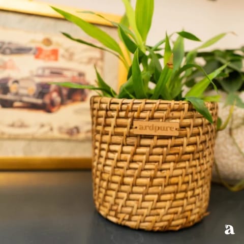 Ardpure - Handcrafted Rattan Planter