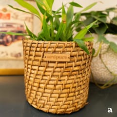 Ardpure - Handcrafted Rattan Planter