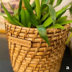 Ardpure - Handcrafted Rattan Planter