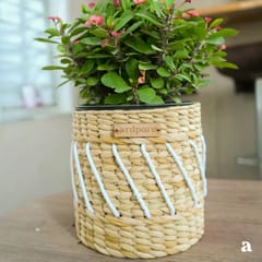 Ardpure - Yuri – Water Reed Planter