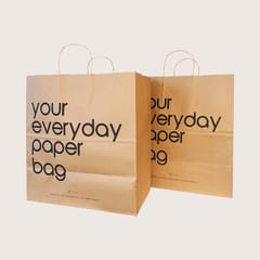 Packmate -  Carry Bag (Pack of 5)  Made From 100% Recycled Paper
