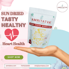 Amritatva - Dried Oyster Mushroom 50 gm
