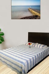 Rustic Route- Blue Stripe Print Bedspread with Pillow covers