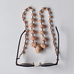 PAULAMI - Aditi specs string- AD-MS12