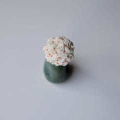PAULAMI - Shiuli Bun stick- SHI-PI1
