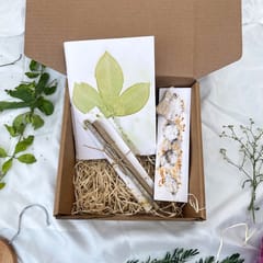 Eco-friendly stationery box